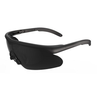 Schutzbrille Swiss Eye Raptor Pro Schwarz Glas Smoke